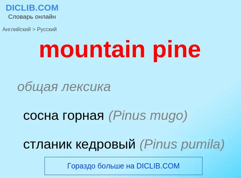 Vertaling van &#39mountain pine&#39 naar Russisch