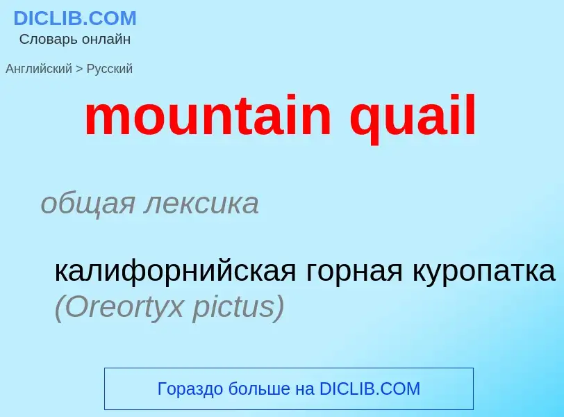 Как переводится mountain quail на Русский язык