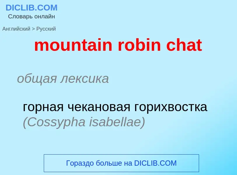 Vertaling van &#39mountain robin chat&#39 naar Russisch