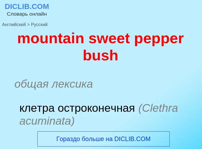 Как переводится mountain sweet pepper bush на Русский язык