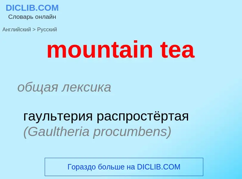 ¿Cómo se dice mountain tea en Ruso? Traducción de &#39mountain tea&#39 al Ruso