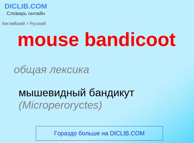 Übersetzung von &#39mouse bandicoot&#39 in Russisch