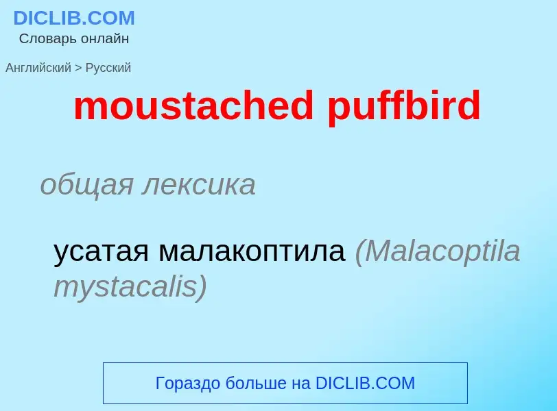 What is the الروسية for moustached puffbird? Translation of &#39moustached puffbird&#39 to الروسية