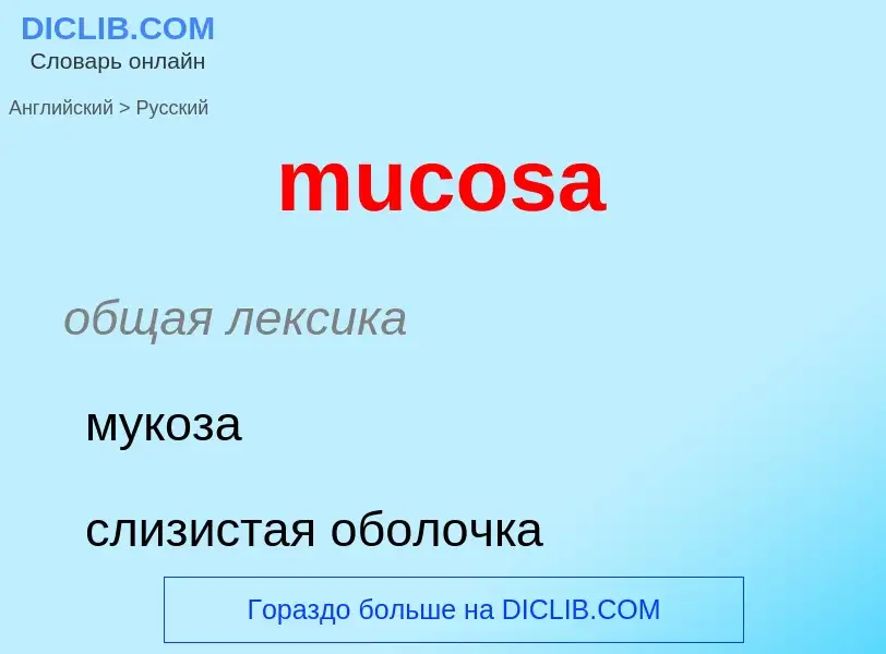 ¿Cómo se dice mucosa en Ruso? Traducción de &#39mucosa&#39 al Ruso