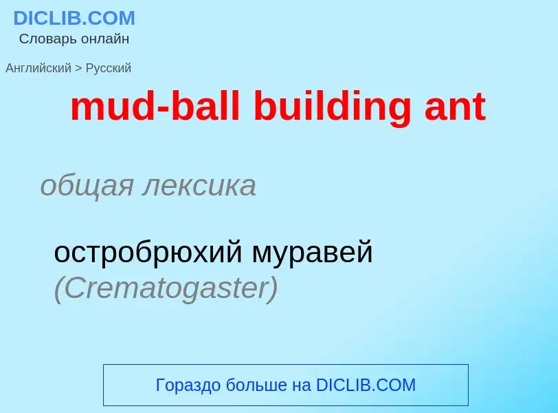 Как переводится mud-ball building ant на Русский язык