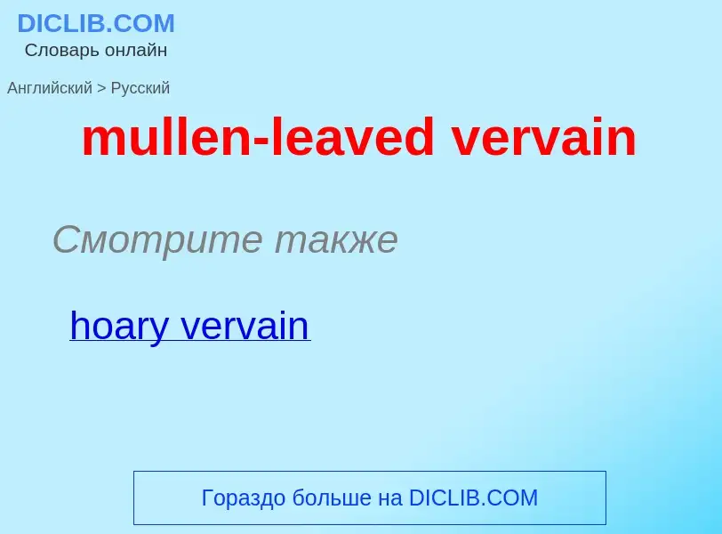 ¿Cómo se dice mullen-leaved vervain en Ruso? Traducción de &#39mullen-leaved vervain&#39 al Ruso