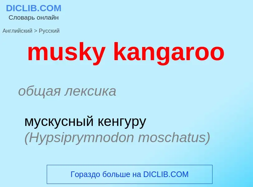 Как переводится musky kangaroo на Русский язык