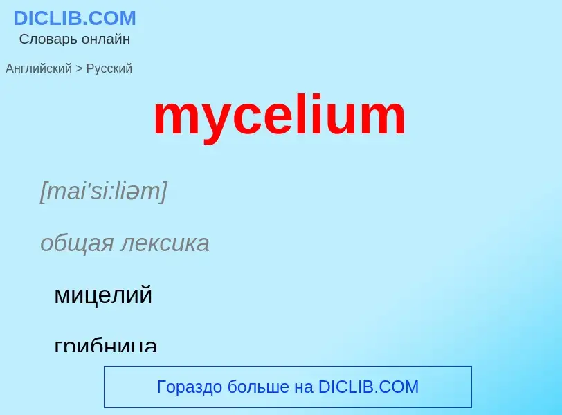 Como se diz mycelium em Russo? Tradução de &#39mycelium&#39 em Russo