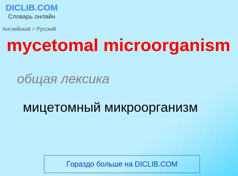 ¿Cómo se dice mycetomal microorganism en Ruso? Traducción de &#39mycetomal microorganism&#39 al Ruso