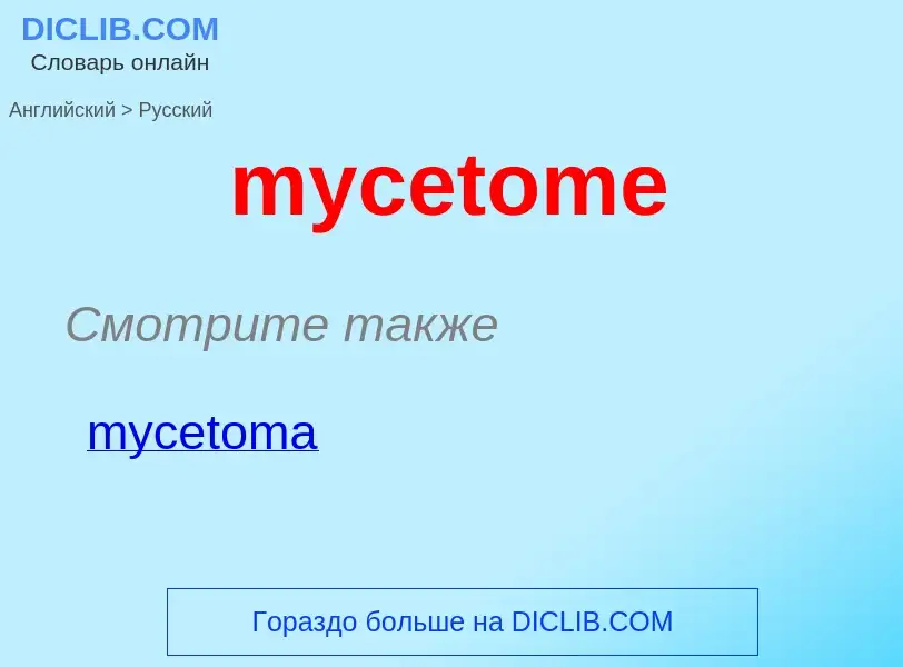 Как переводится mycetome на Русский язык