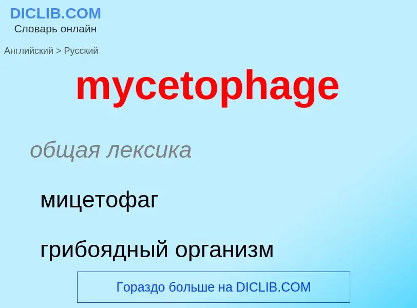 Como se diz mycetophage em Russo? Tradução de &#39mycetophage&#39 em Russo