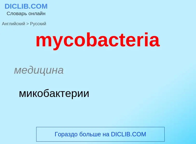 Como se diz mycobacteria em Russo? Tradução de &#39mycobacteria&#39 em Russo