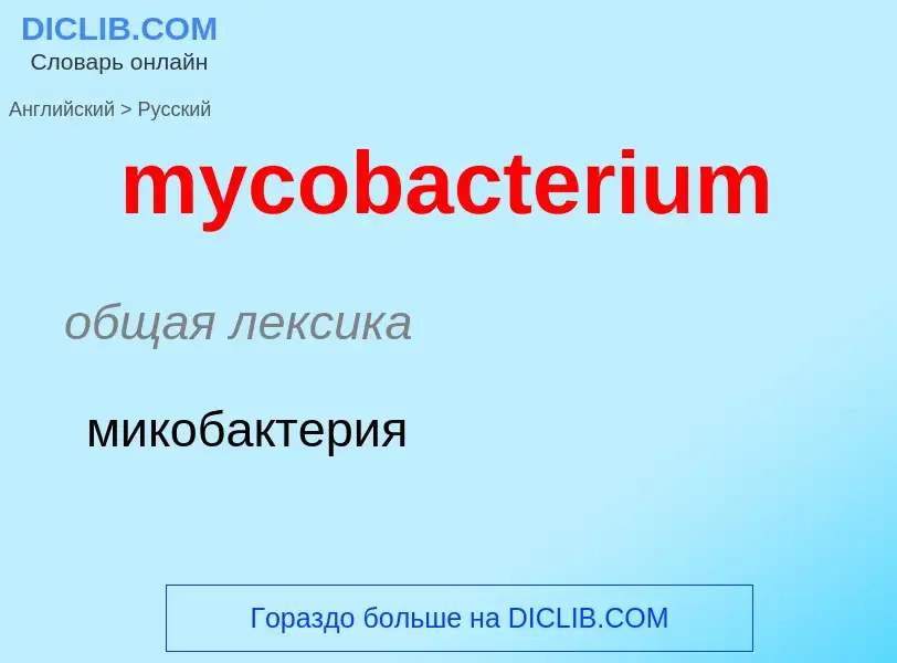 Как переводится mycobacterium на Русский язык