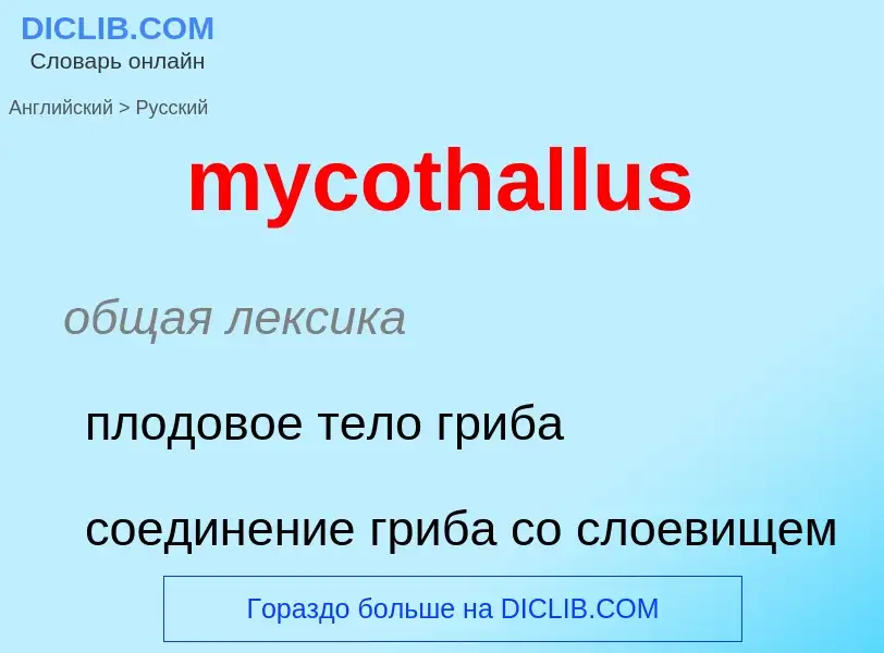 Как переводится mycothallus на Русский язык