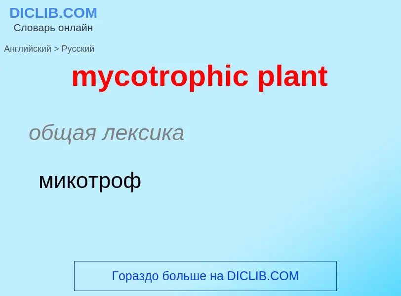 Как переводится mycotrophic plant на Русский язык