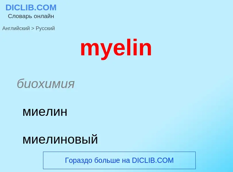 Como se diz myelin em Russo? Tradução de &#39myelin&#39 em Russo