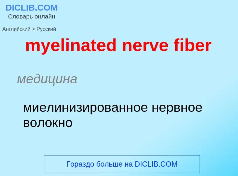 Como se diz myelinated nerve fiber em Russo? Tradução de &#39myelinated nerve fiber&#39 em Russo