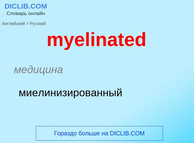 Как переводится myelinated на Русский язык