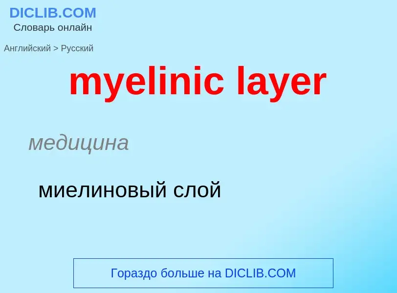 Как переводится myelinic layer на Русский язык