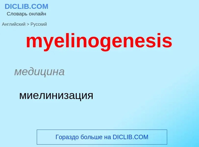 Как переводится myelinogenesis на Русский язык