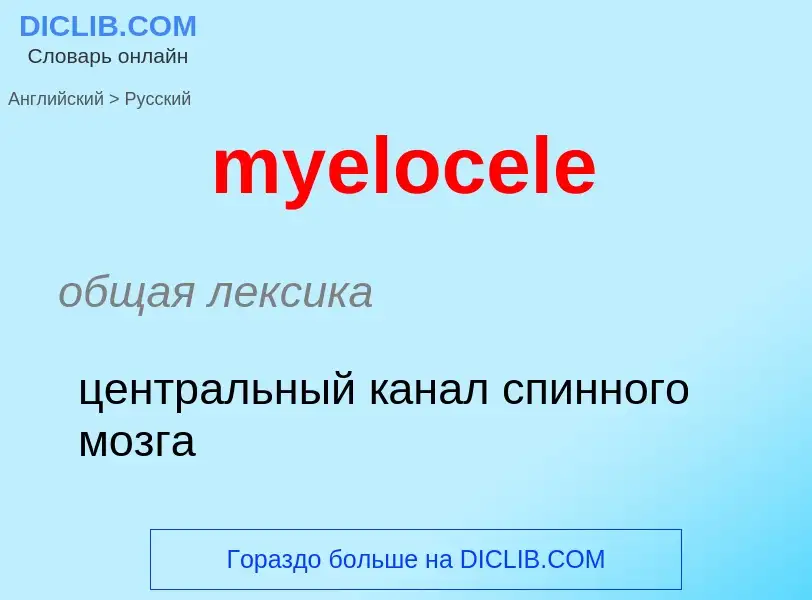 Как переводится myelocele на Русский язык