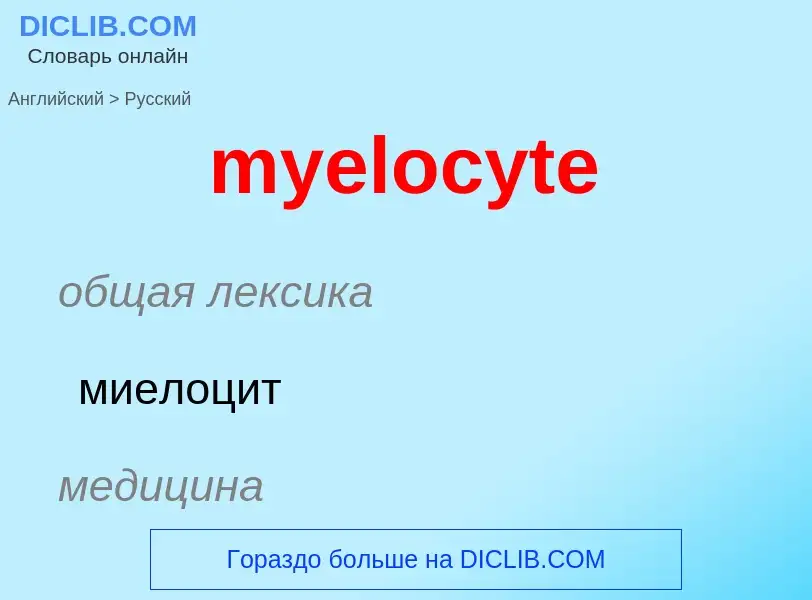 Как переводится myelocyte на Русский язык