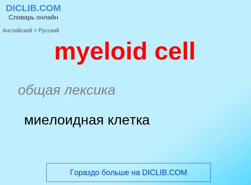 Como se diz myeloid cell em Russo? Tradução de &#39myeloid cell&#39 em Russo