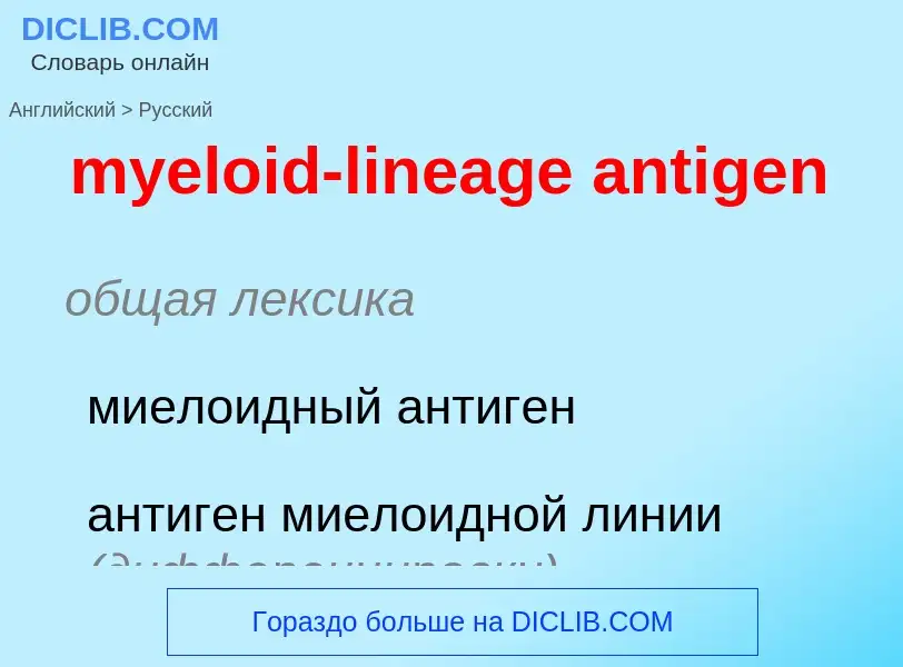 Как переводится myeloid-lineage antigen на Русский язык