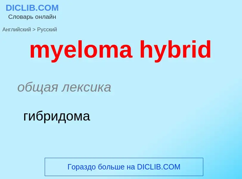 Como se diz myeloma hybrid em Russo? Tradução de &#39myeloma hybrid&#39 em Russo