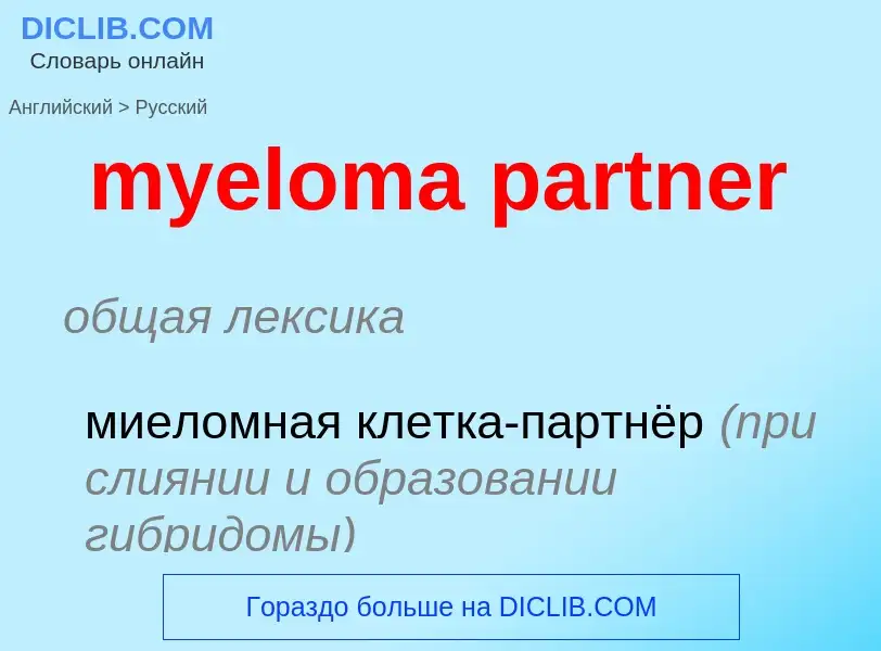 ¿Cómo se dice myeloma partner en Ruso? Traducción de &#39myeloma partner&#39 al Ruso