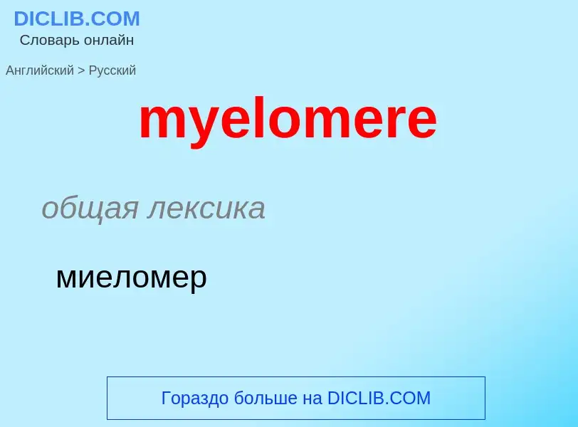 ¿Cómo se dice myelomere en Ruso? Traducción de &#39myelomere&#39 al Ruso