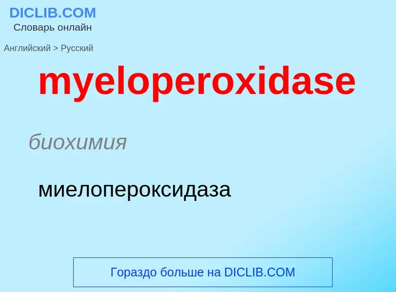 ¿Cómo se dice myeloperoxidase en Ruso? Traducción de &#39myeloperoxidase&#39 al Ruso