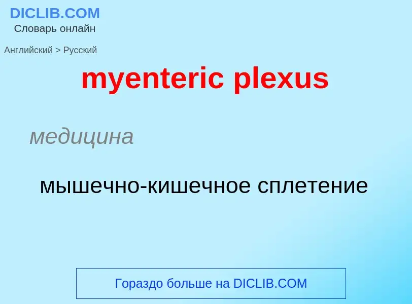 Traduction de &#39myenteric plexus&#39 en Russe