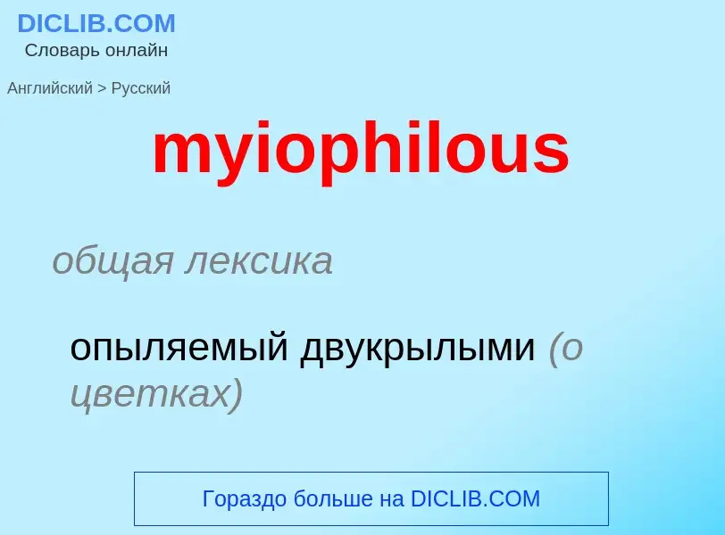 Traduction de &#39myiophilous&#39 en Russe