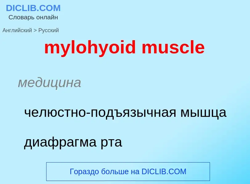 ¿Cómo se dice mylohyoid muscle en Ruso? Traducción de &#39mylohyoid muscle&#39 al Ruso