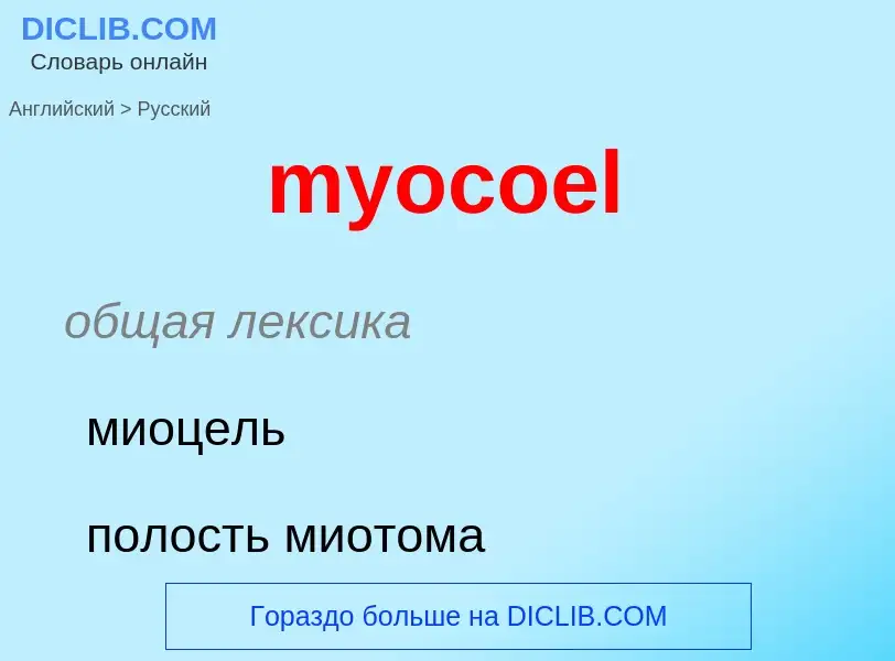 Μετάφραση του &#39myocoel&#39 σε Ρωσικά