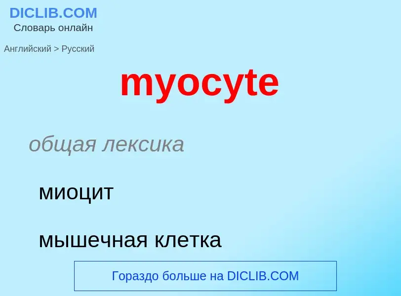 Übersetzung von &#39myocyte&#39 in Russisch