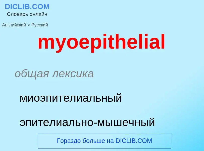 Как переводится myoepithelial на Русский язык