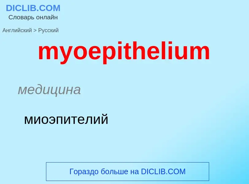 Как переводится myoepithelium на Русский язык