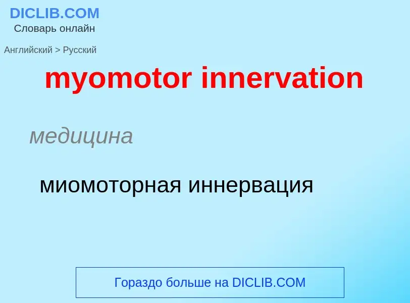 Traduction de &#39myomotor innervation&#39 en Russe