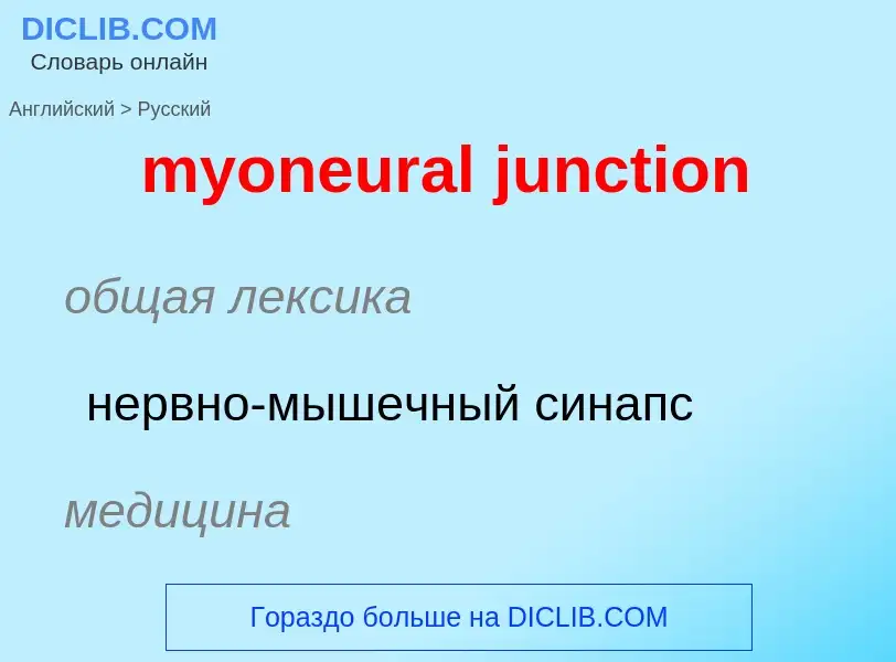 What is the الروسية for myoneural junction? Translation of &#39myoneural junction&#39 to الروسية