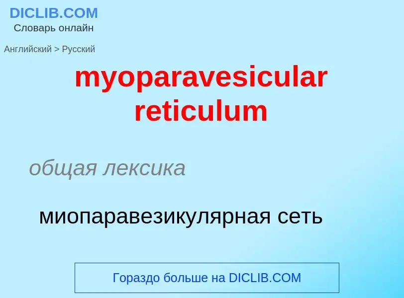 Μετάφραση του &#39myoparavesicular reticulum&#39 σε Ρωσικά