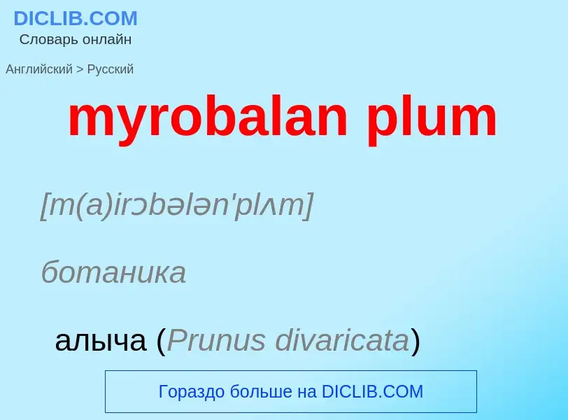 Как переводится myrobalan plum на Русский язык