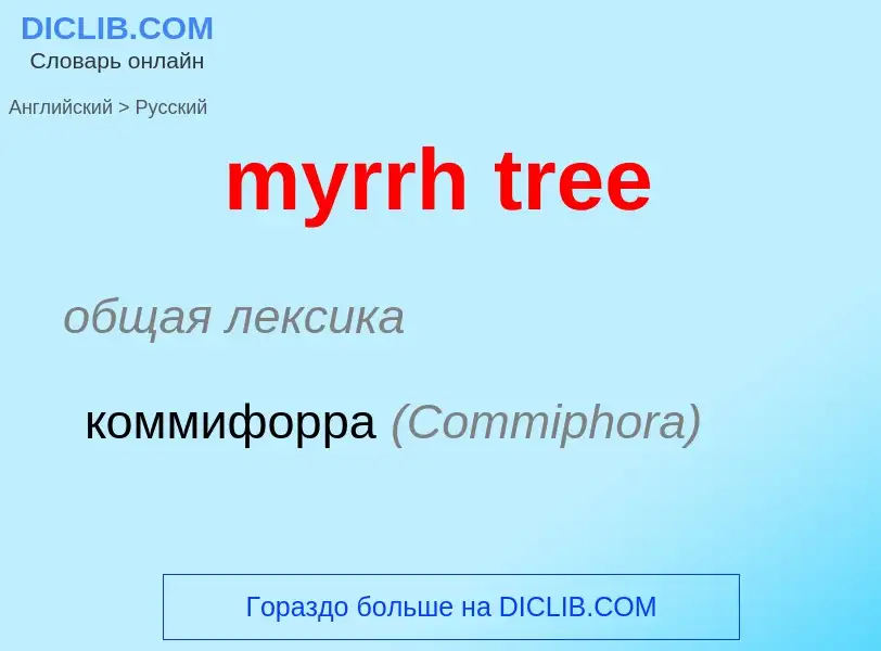 Como se diz myrrh tree em Russo? Tradução de &#39myrrh tree&#39 em Russo