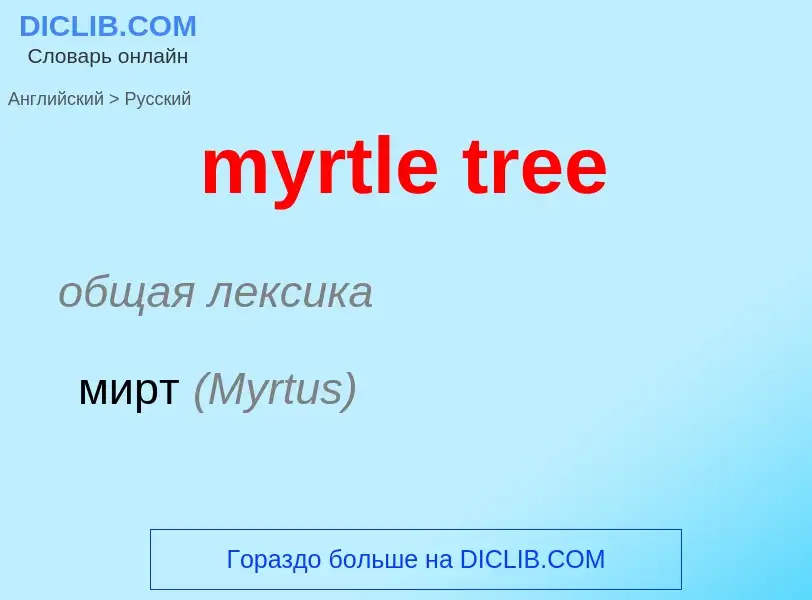 What is the الروسية for myrtle tree? Translation of &#39myrtle tree&#39 to الروسية