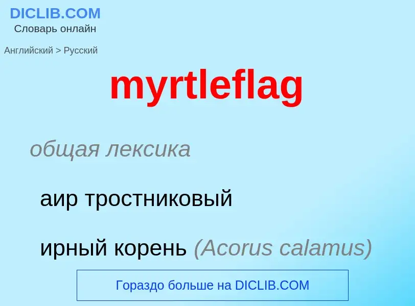 Μετάφραση του &#39myrtleflag&#39 σε Ρωσικά