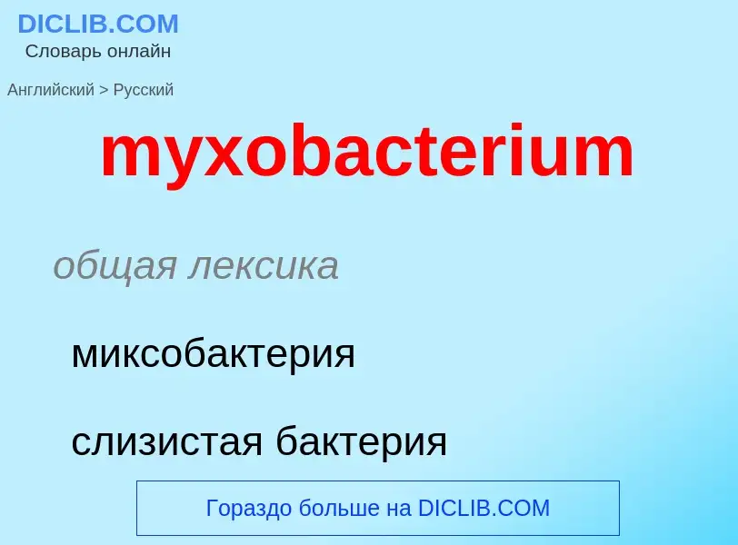 Como se diz myxobacterium em Russo? Tradução de &#39myxobacterium&#39 em Russo