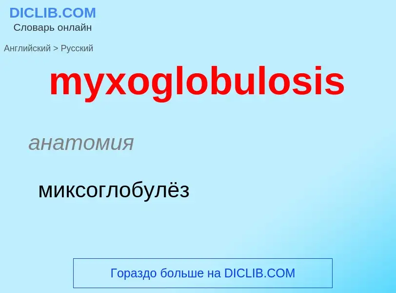 Como se diz myxoglobulosis em Russo? Tradução de &#39myxoglobulosis&#39 em Russo