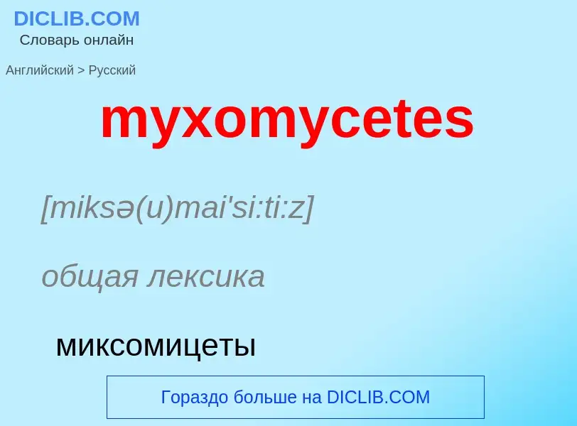 Como se diz myxomycetes em Russo? Tradução de &#39myxomycetes&#39 em Russo