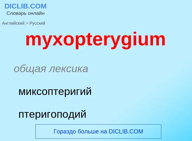 Как переводится myxopterygium на Русский язык